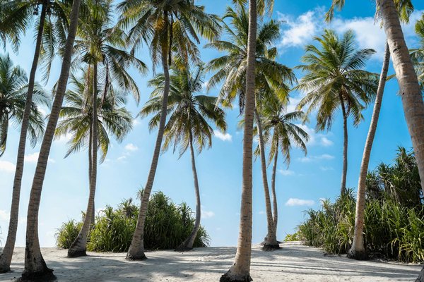 Discover Portsmouth's Maritime Heritage on a Budget: Affordable and Unique Visitor Experiences