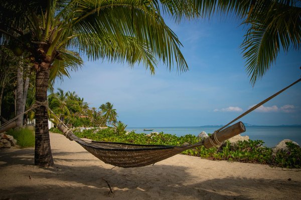 Discover the Ultimate UK Escapes for Stunning Nature Photography Retreats